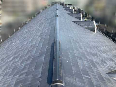 Before画像
