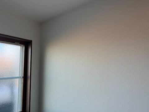Before画像