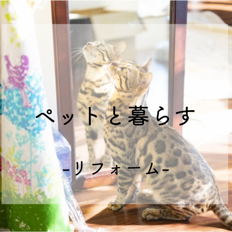 ペットと暮らす家 アイキャッチ画像