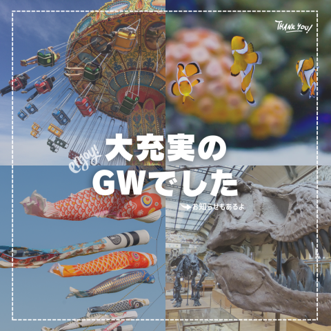 大充実のGWでした🐬🦖🎡 アイキャッチ画像