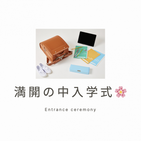 満開の中入学式🌸 アイキャッチ画像