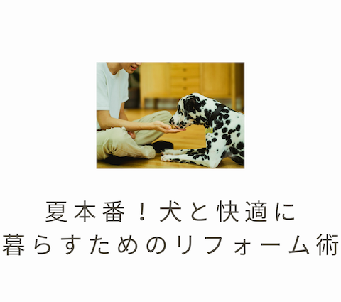 🐶夏本番！犬と快適に暮らすためのリフォーム術 アイキャッチ画像