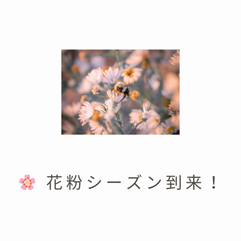 🌸 花粉シーズン到来！ アイキャッチ画像