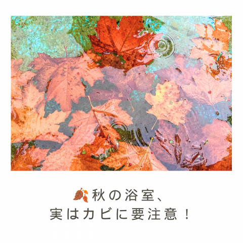 🍂秋の浴室、実はカビに要注意！ アイキャッチ画像